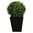 Artificial Topiary - Boxwood Ball - 50cm