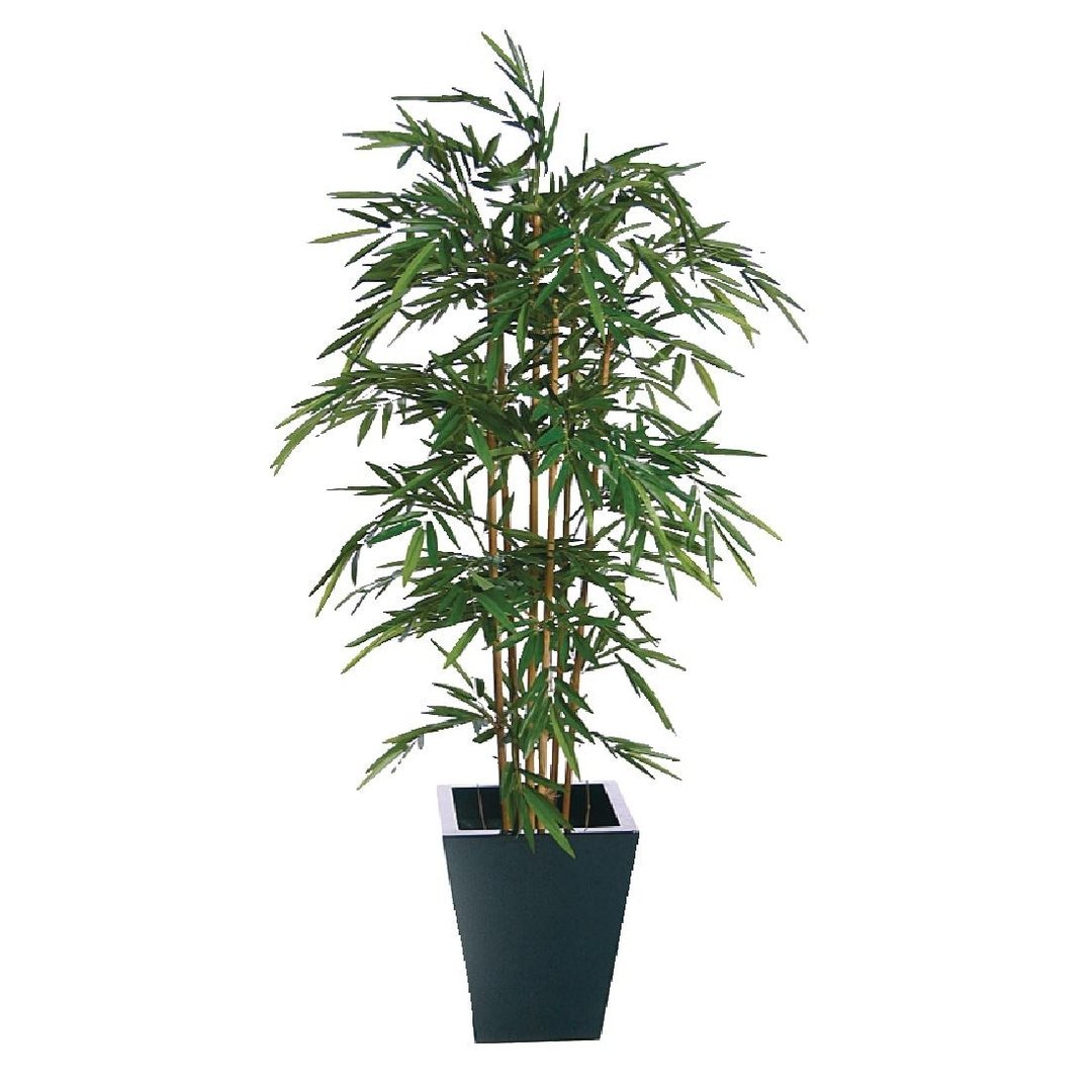 Natural Bamboo - 6ft (Fire resistant)