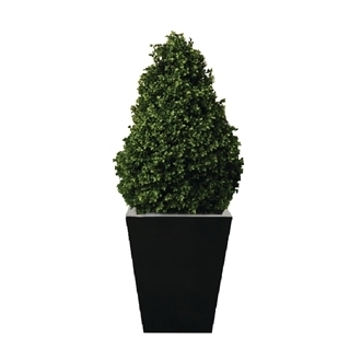 Artificial Topiary Buxus Pyramid - 3ft